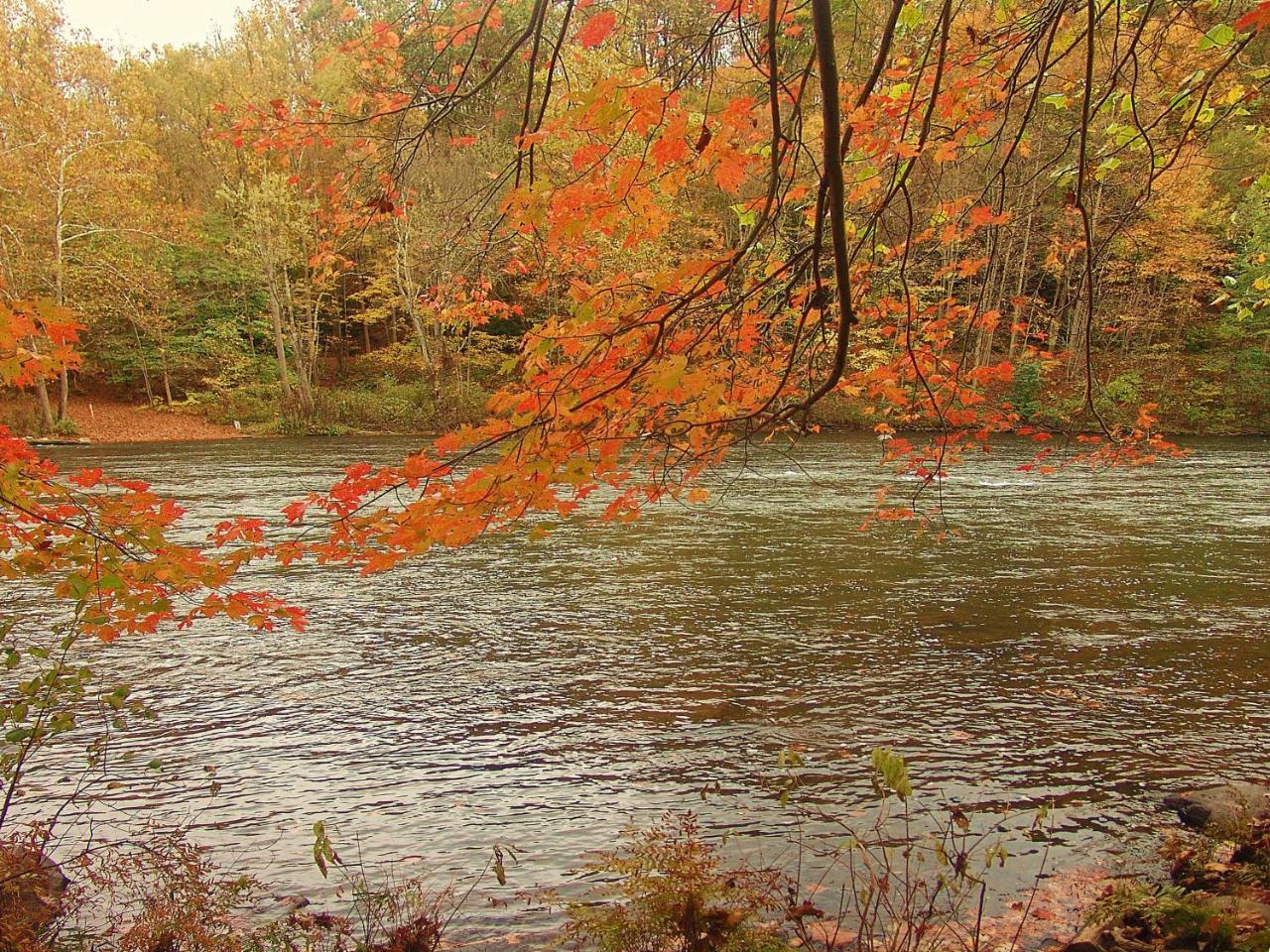Вілла Paddler'S Lane Retreat Confluence Екстер'єр фото