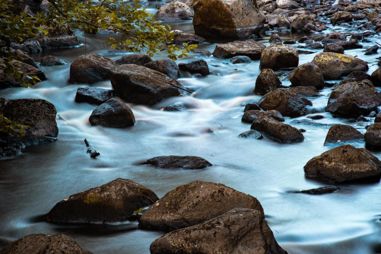 Вілла Paddler'S Lane Retreat Confluence Екстер'єр фото